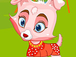 Cute Pets Dress Up
